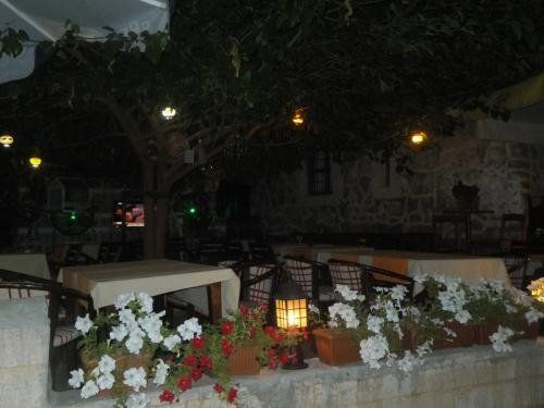 WHITE CITY PENSION