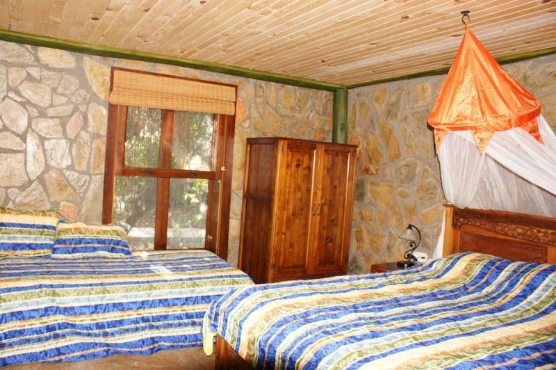 LAZY LIZARD BOUTIQUE HOTEL фото 3