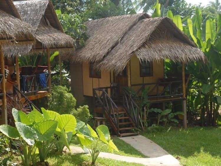JUNGLE GARDEN фото 4