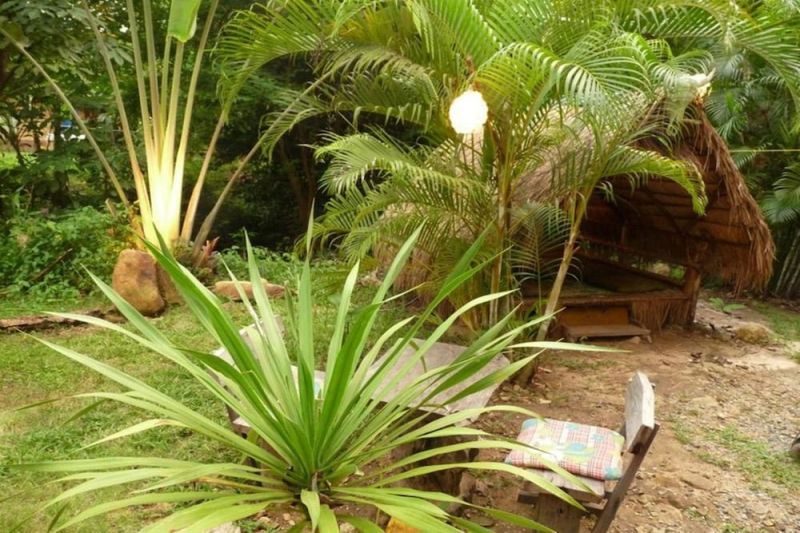 JUNGLE GARDEN фото 7