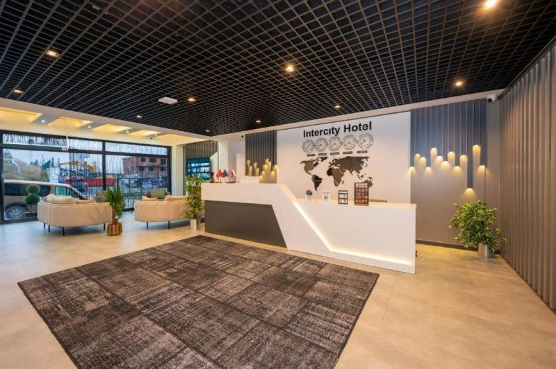 INTERCITY AIRPORT HOTEL фото 7