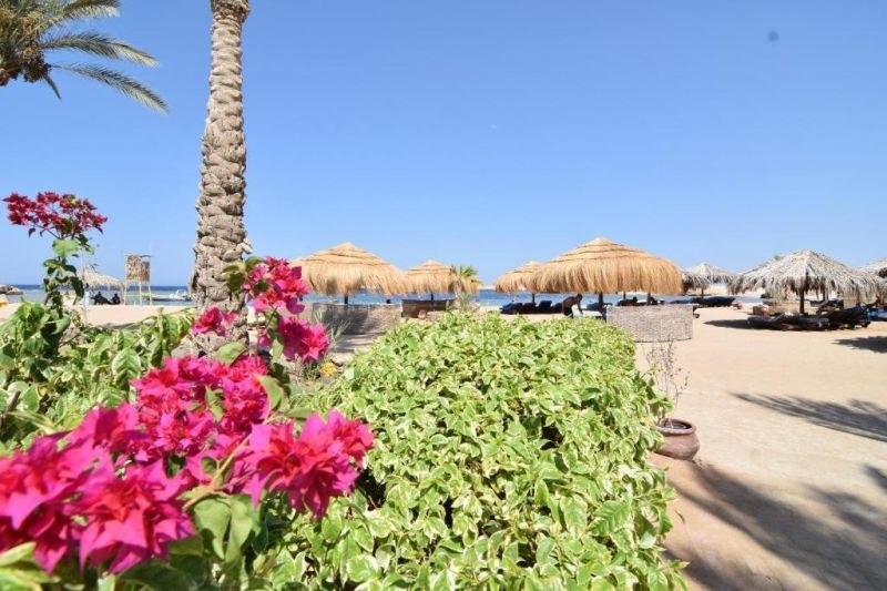 SHARM EL NAGA RESORT AND DIVING CENTER фото 8