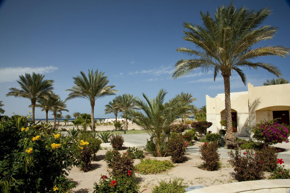 CORAL BEACH HOTEL  HURGHADA (EX. CORAL BEACH ROTANA RESORT) фото 7