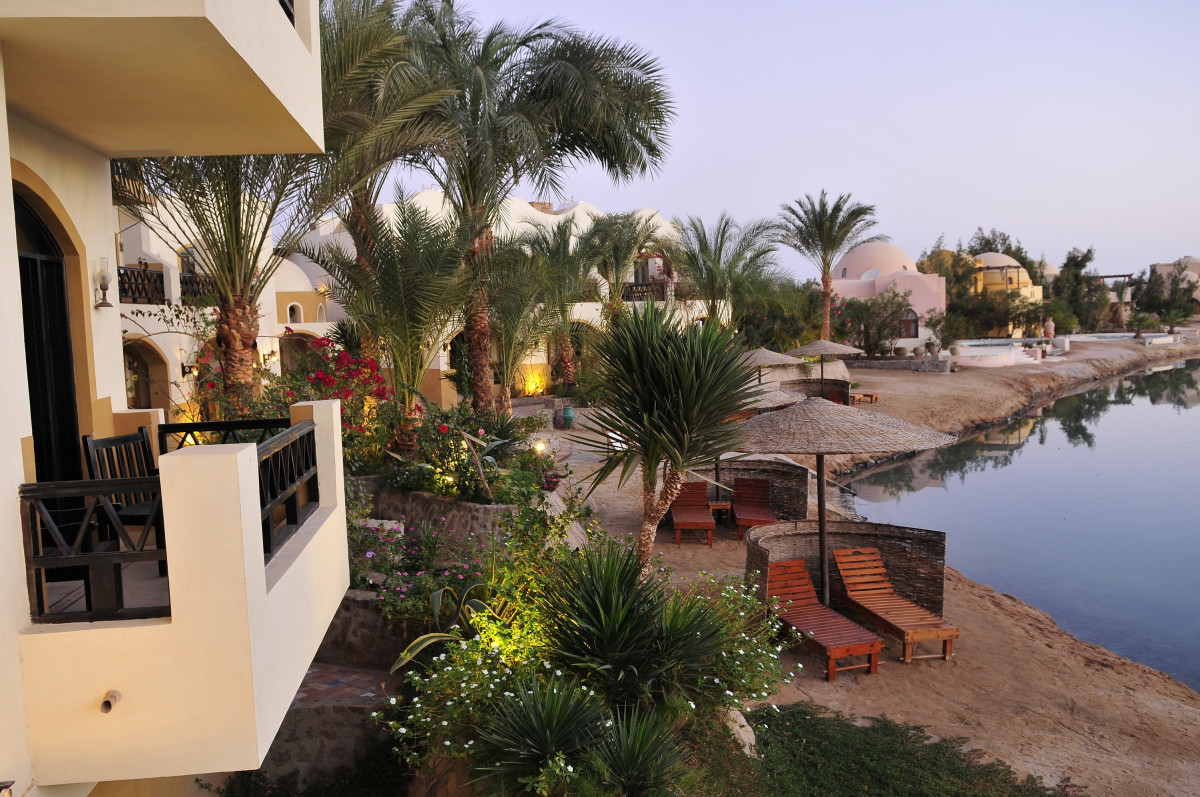 DAWAR EL OMDA ADULTS ONLY фото 7