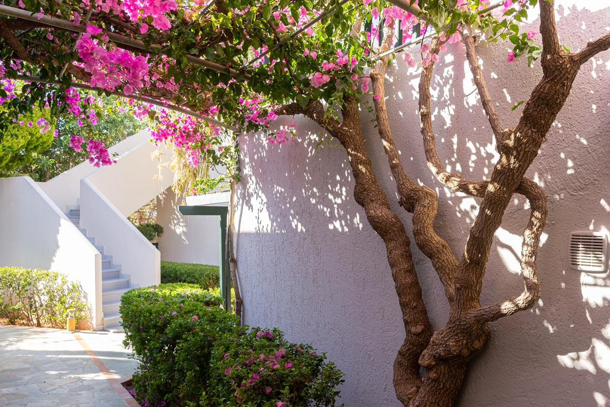ANNA MARIA VILLAGE фото 5