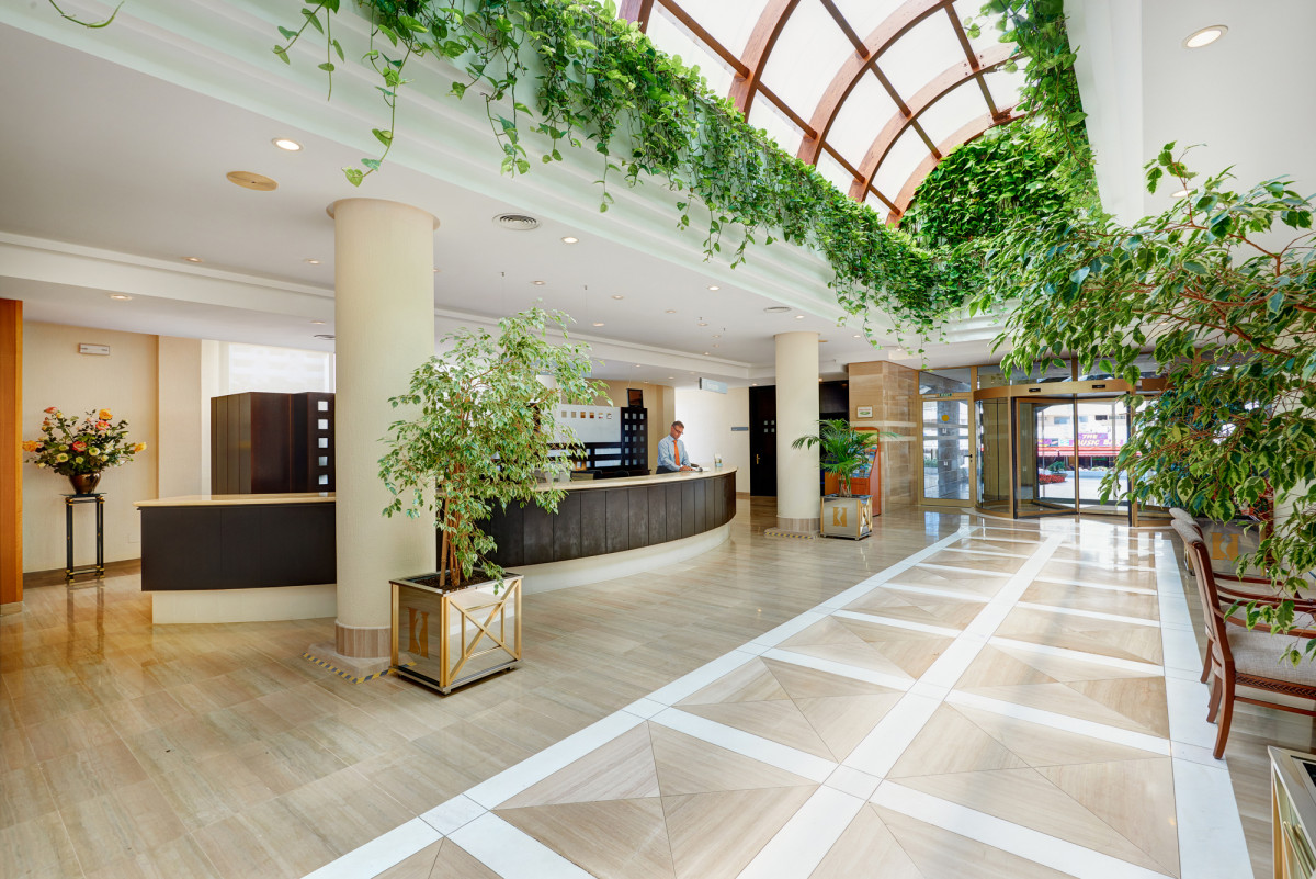 HIPOTELS MARFIL PLAYA фото 3