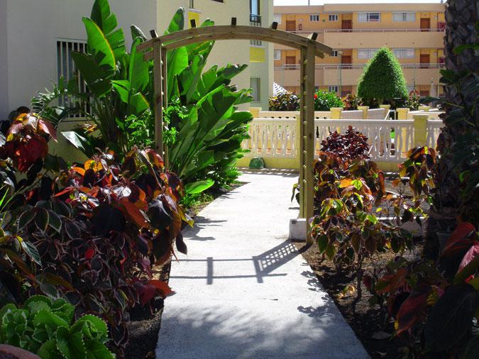LOS FICUS фото 2