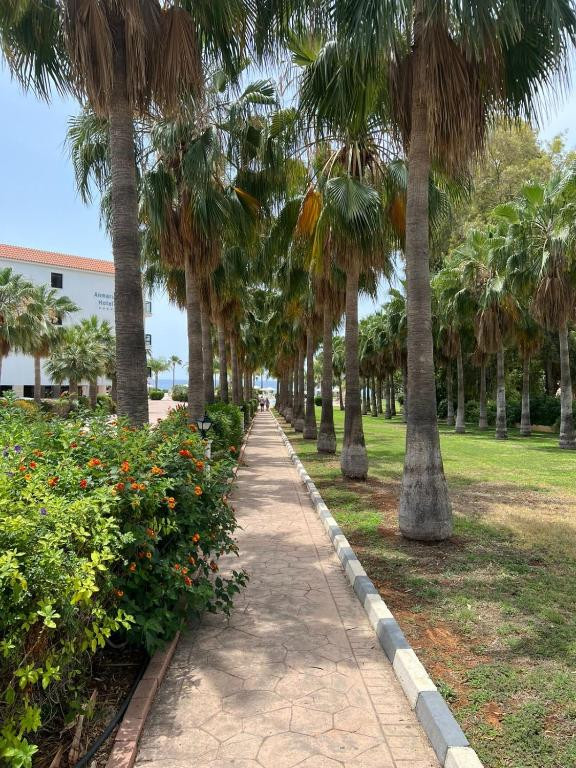 ANMARIA BEACH HOTEL фото 7