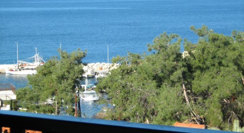 LEANDROS фото 8