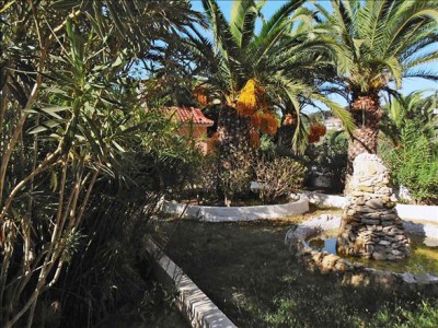 SUNNY GARDEN фото 5