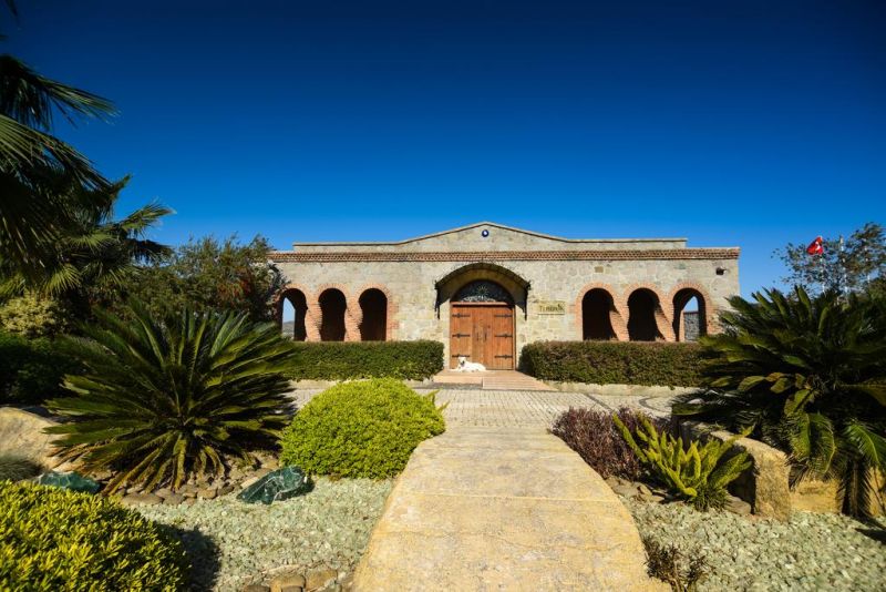 TEMENOS LUXURY SUITES HOTEL & SPA фото 5