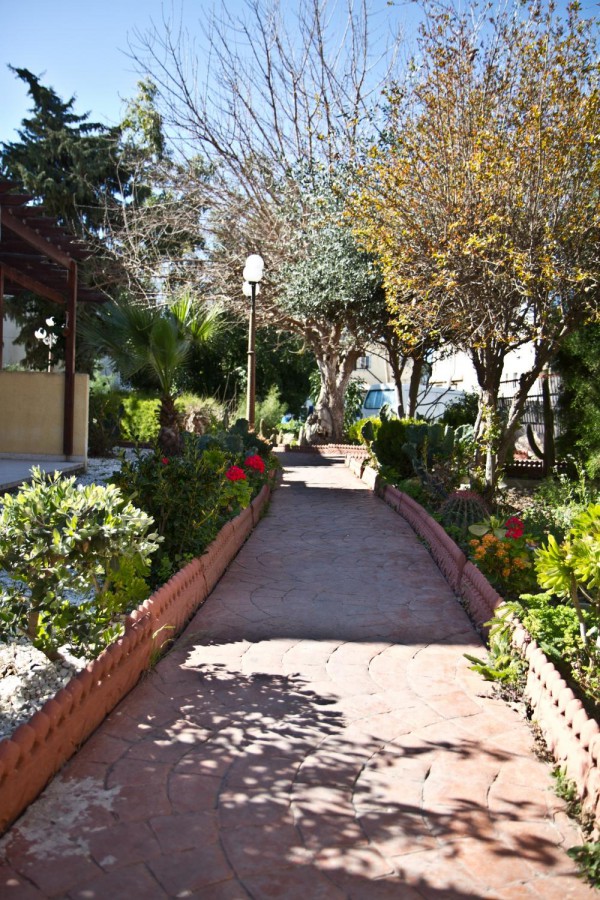 NEREUS фото 3