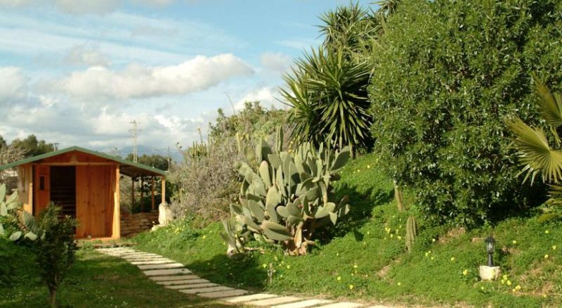 SON BAULO фото 6