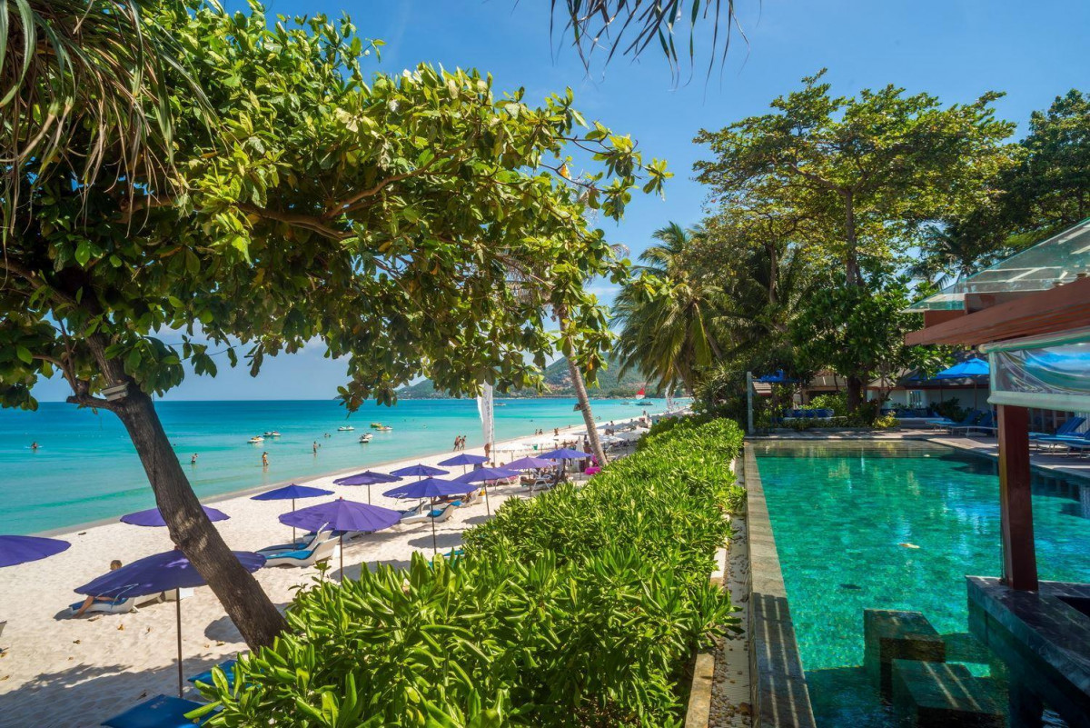 SYNERGY SAMUI фото 6