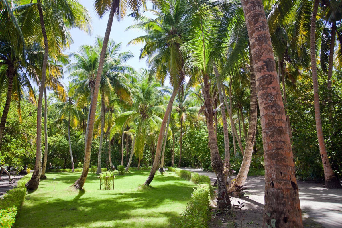 FILITHEYO ISLAND RESORT фото 7