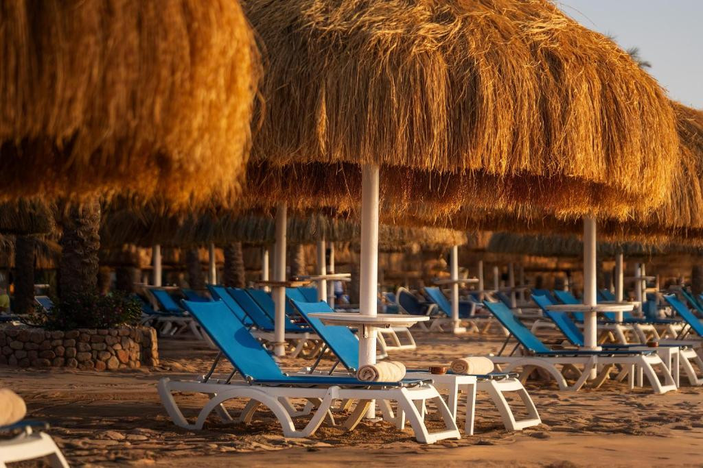 JAZ FAYROUZ RESORT (EX. HILTON SHARM FAYROUZ RESORT) фото 8
