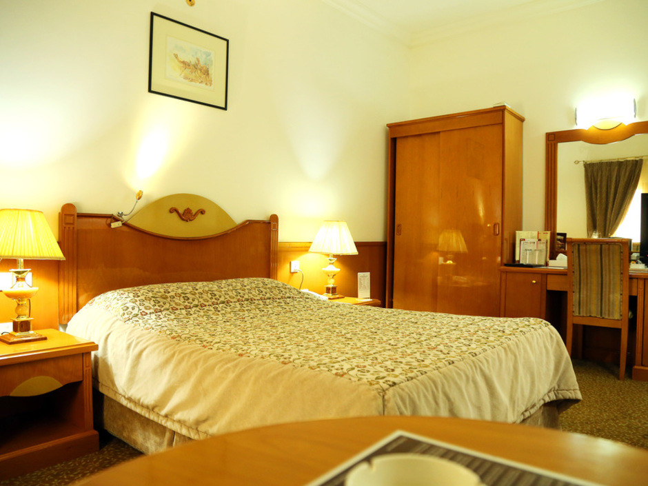 ZAIN INTERNATIONAL HOTEL фото 7