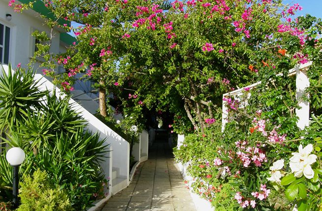 NINA BEACH фото 7