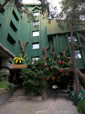 HOLIDAY AREA GREEN RESORT фото 3
