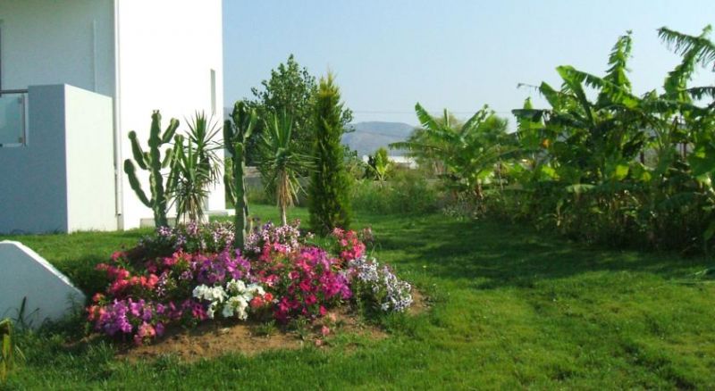 XENOS VILLA