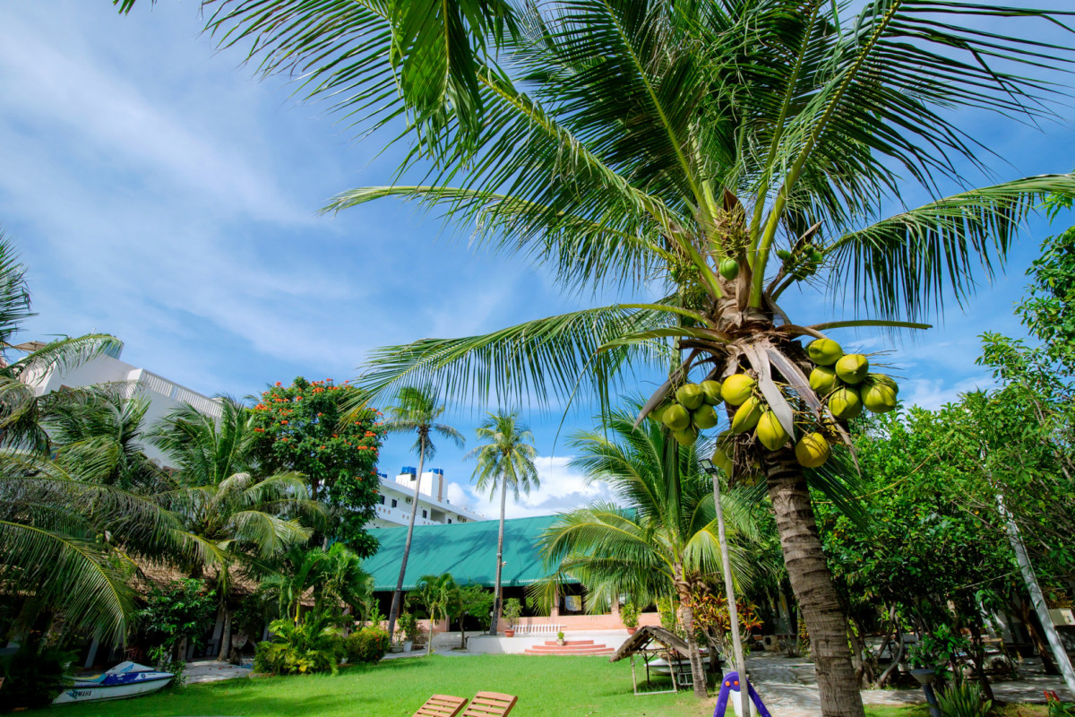 SUN & SAND BEACH HOTEL фото 5