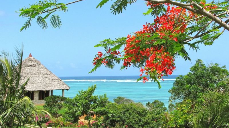 TIJARA BEACH фото 4