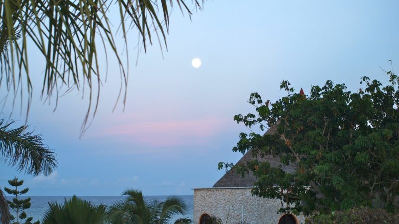 TIJARA BEACH фото 6