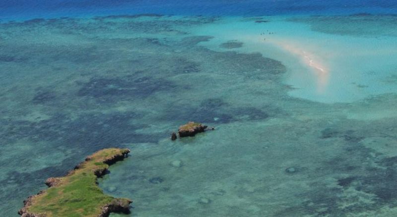 SHIMONI REEF фото 5