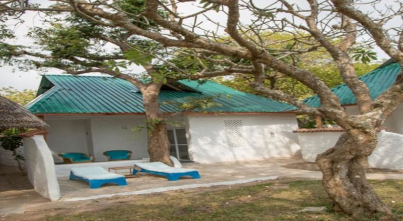 SHIMONI REEF фото 6