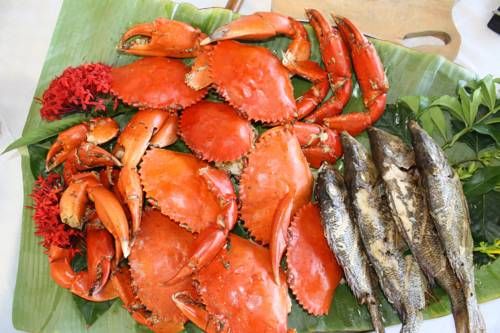 SHIMONI REEF фото 7