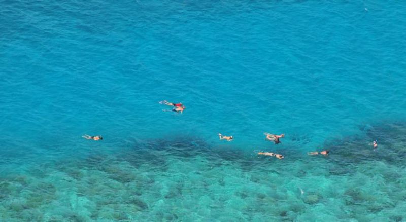 SHIMONI REEF фото 8