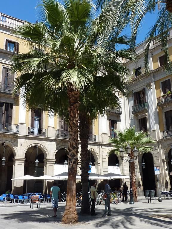 ROMA REIAL фото 4