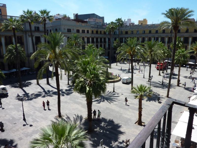 ROMA REIAL фото 8