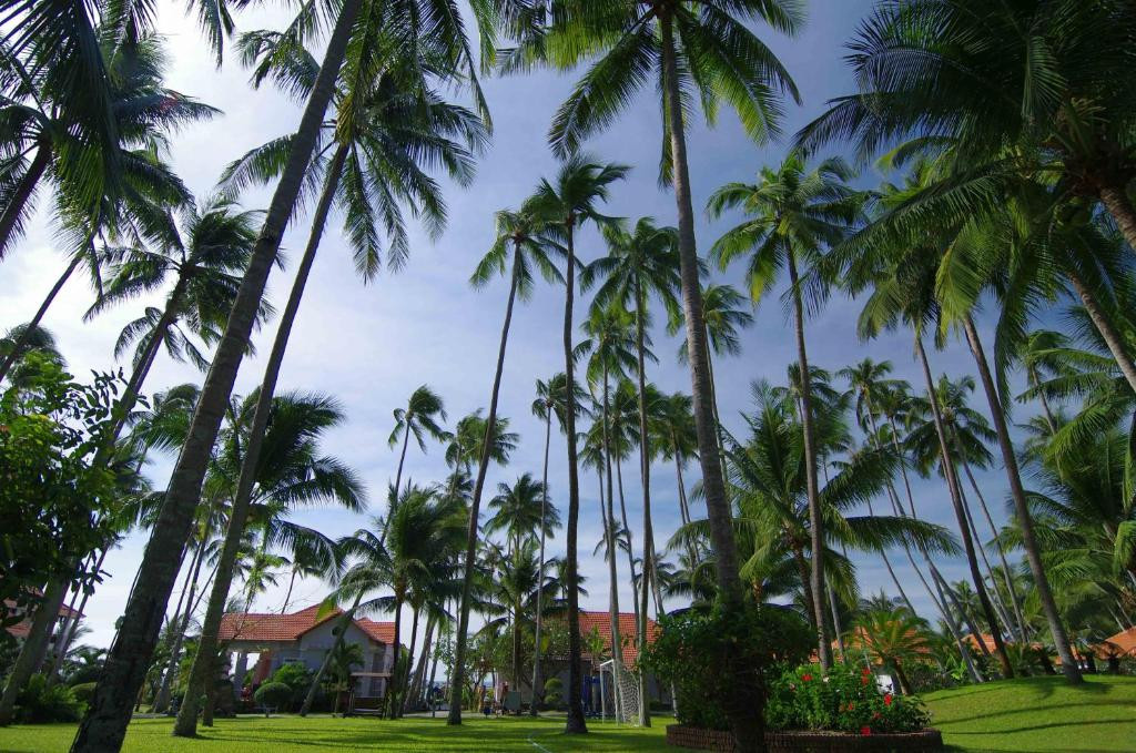 MUINE DE CENTURY BEACH RESORT & SPA фото 5