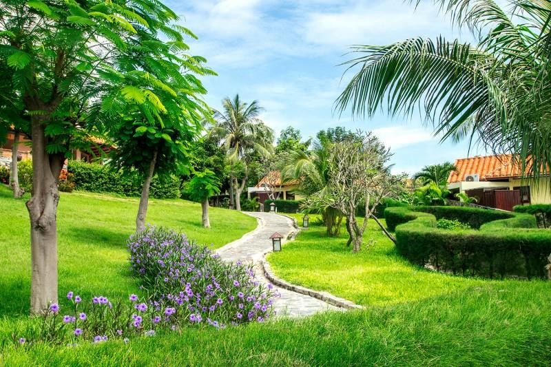 ROMANA RESORT & SPA фото 2