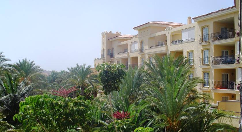 PALM OASIS