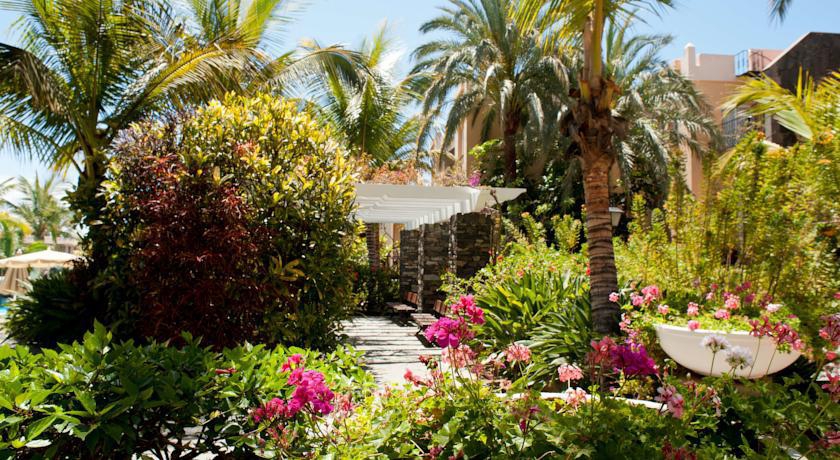 PALM OASIS фото 8