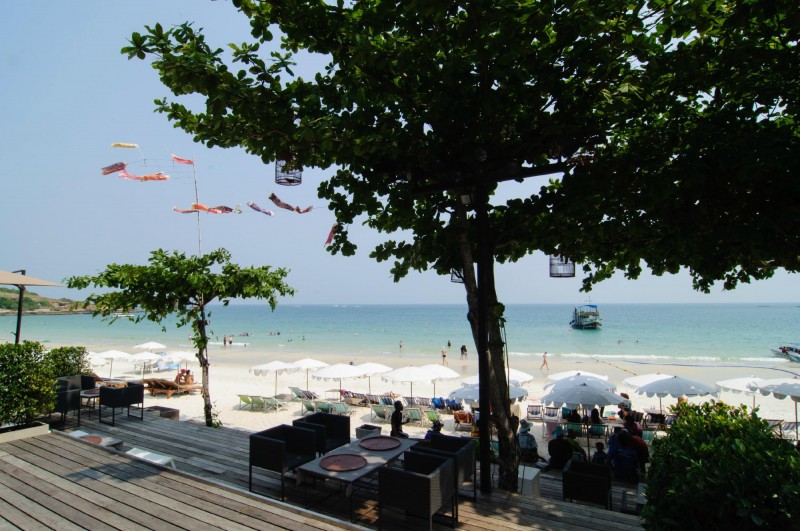 SAMED GRAND VIEW RESORT