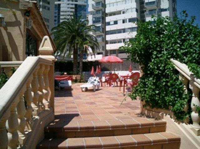 PALM COURT фото 4