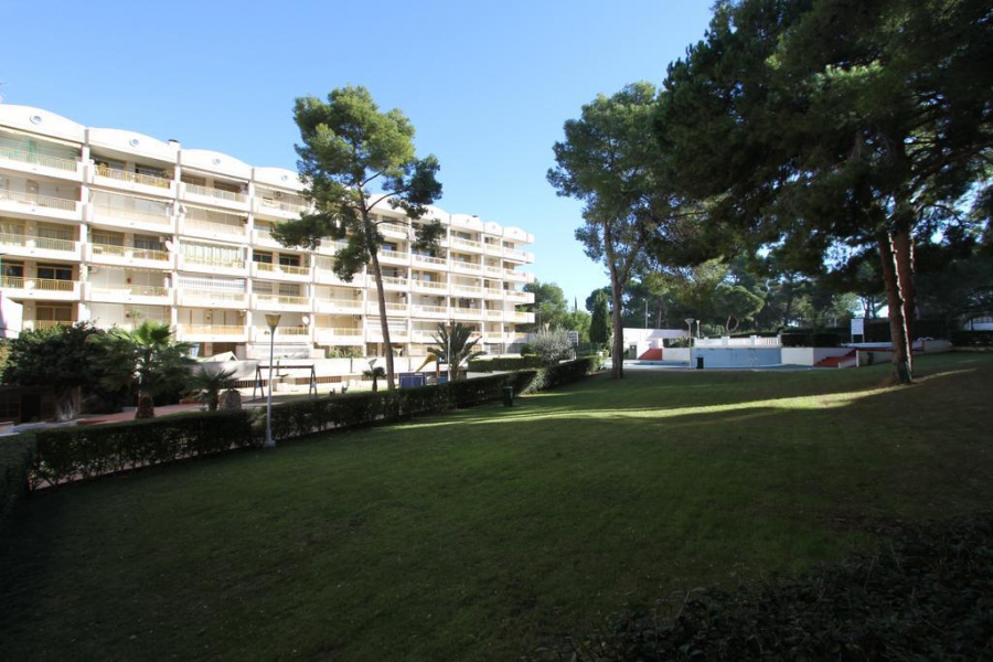 CATALUNYA 92