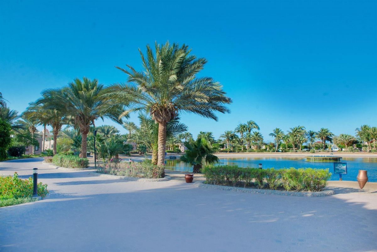 PHARAOH AZUR RESORT (EX. SONESTA PHARAOH)  фото 6