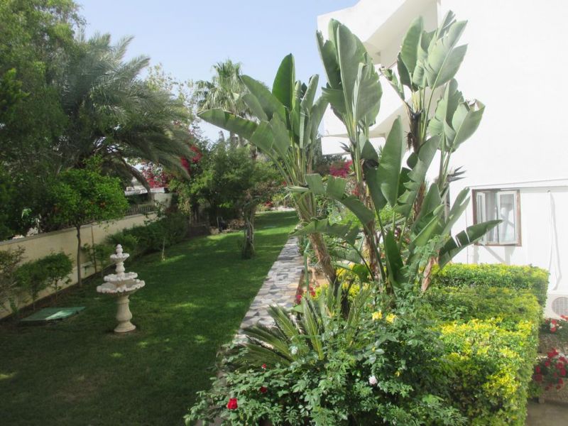 TSIALIS APT фото 5