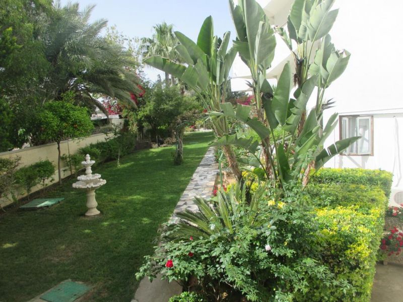 TSIALIS APT фото 8