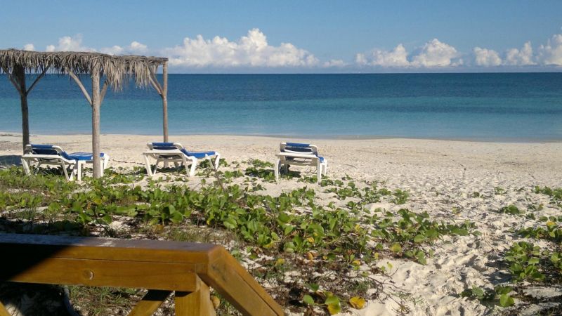 CAYO LEVISA фото 3