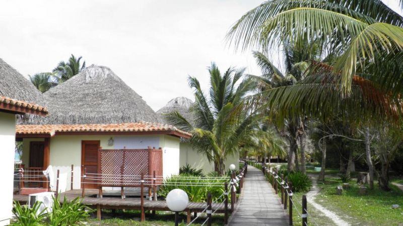 CAYO LEVISA фото 5