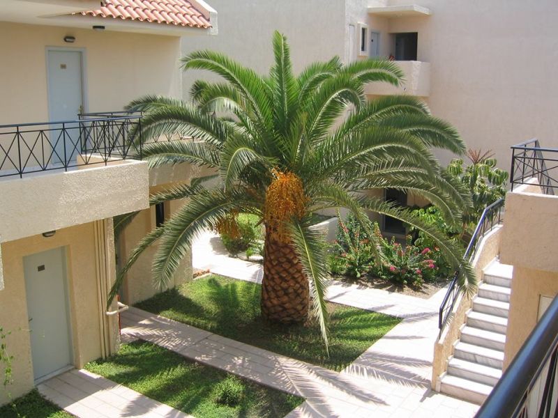 SUMMERLAND фото 6