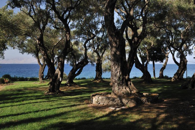 APHRODITE CORFU VILLAS фото 5