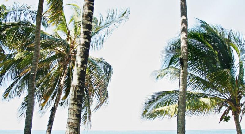 PLAZA BEACH фото 2