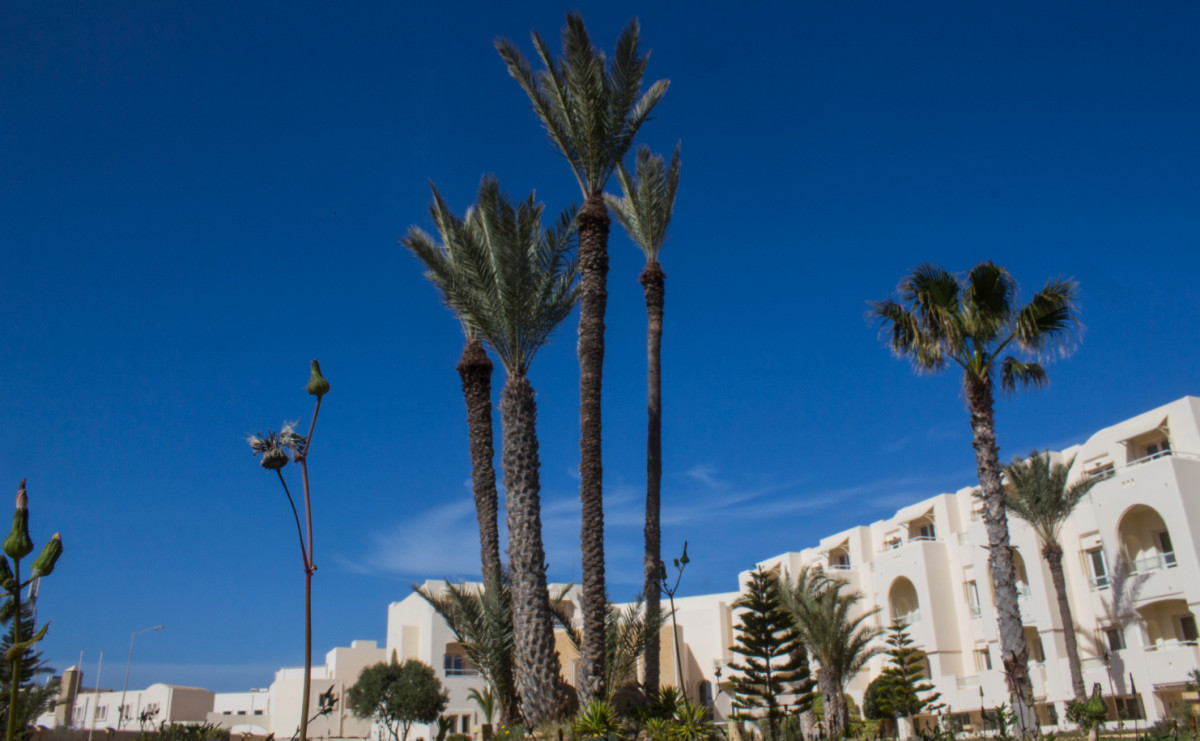 TELEMAQUE BEACH & SPA фото 2