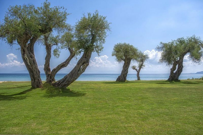 DOMES MIRAMARE, A LUXURY COLLECTION RESORT ADULTS ONLY фото 2
